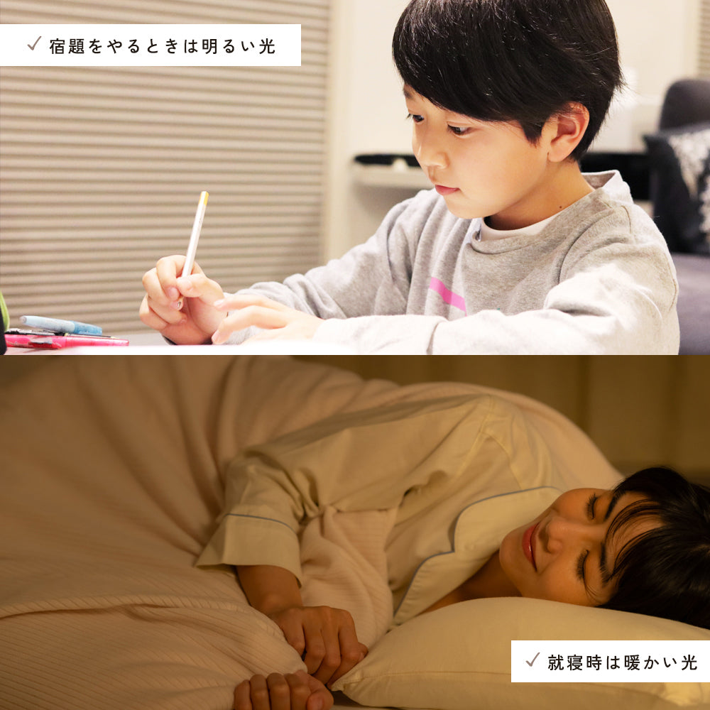 デスクライト｜懐中電灯｜2WAY