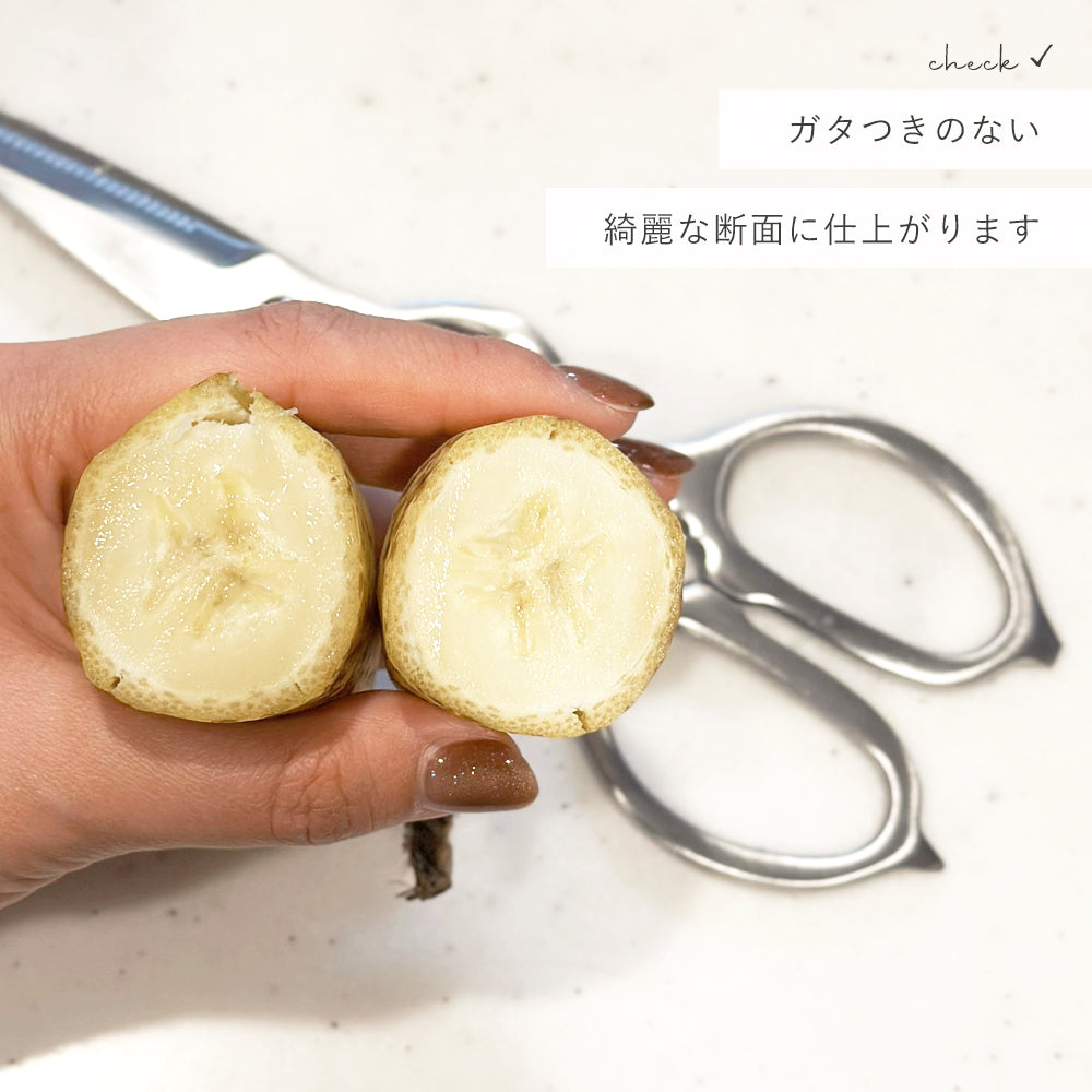 オールステンレス 分解可能キッチンバサミ｜食洗機対応・錆びにくい・多用途キッチンはさみ
