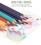 油性色鉛筆 24色