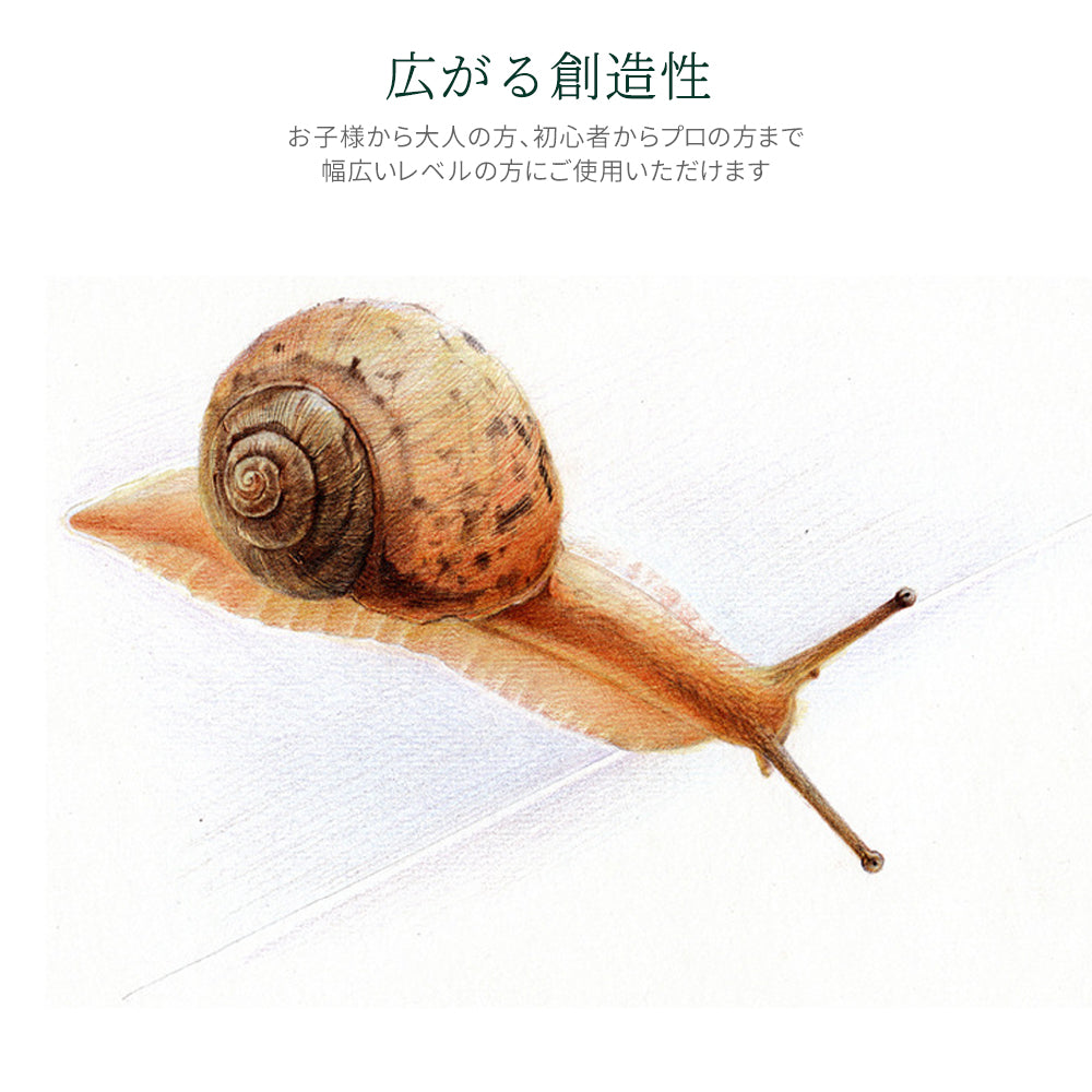 油性色鉛筆 24色