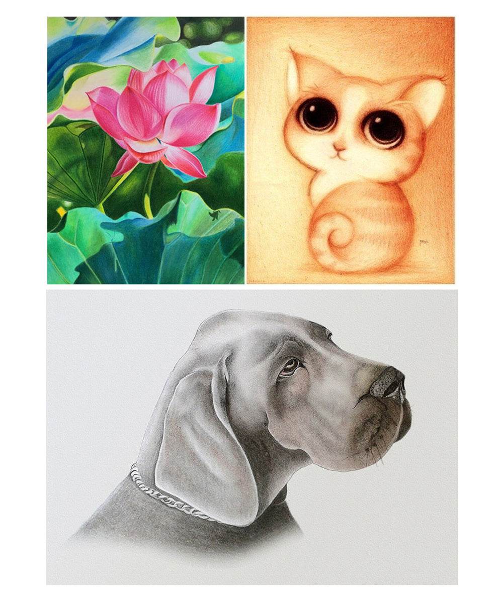 油性色鉛筆 24色