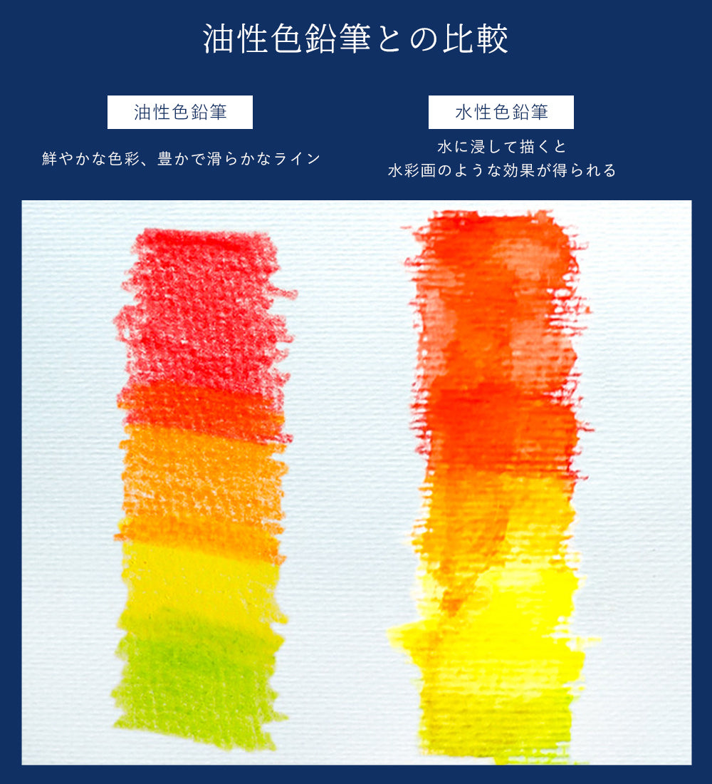 24色 水性色鉛筆