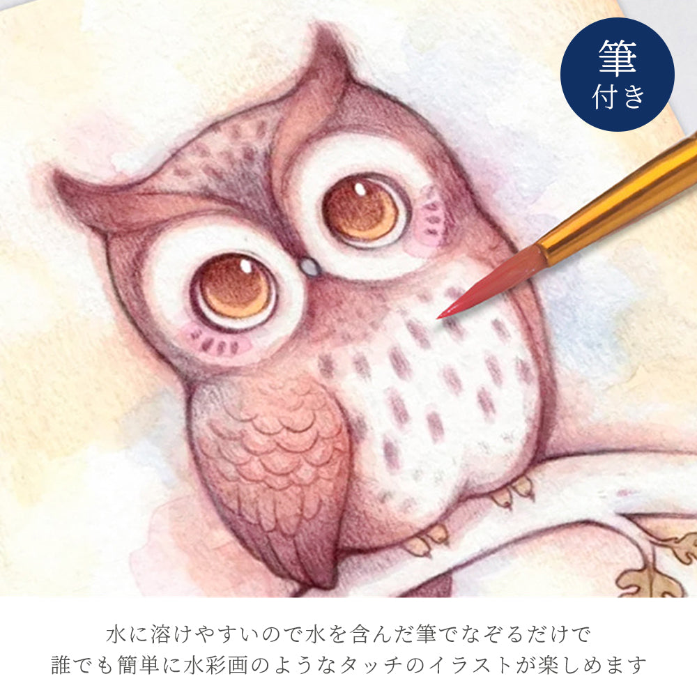 24色 水性色鉛筆