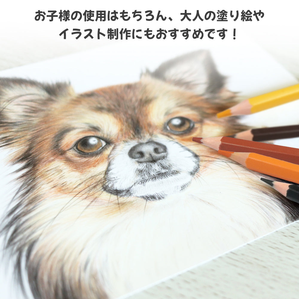 消せる色鉛筆 24色セット